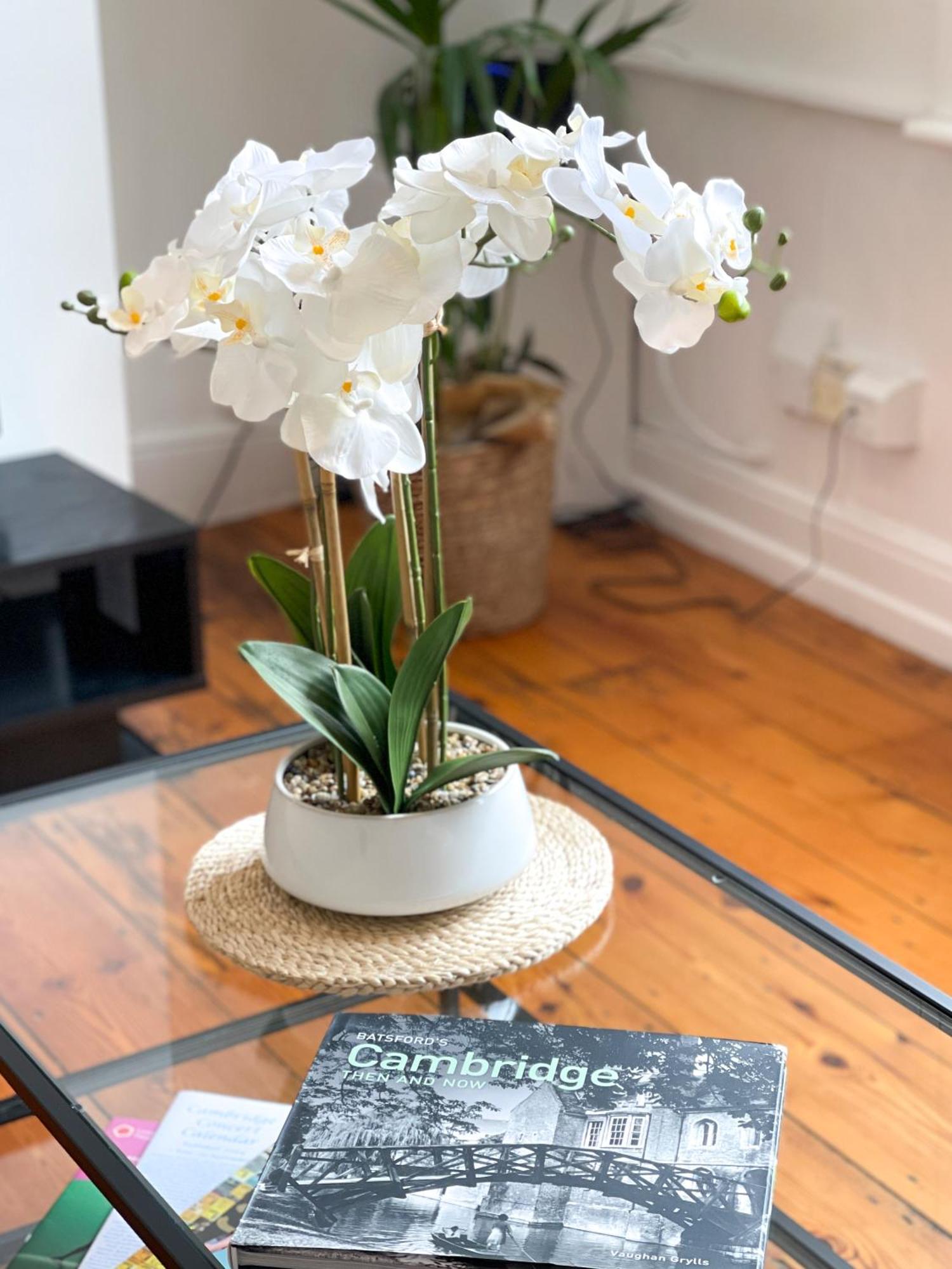 Fantastic Victorian House, Excellent City Location - Cambridge Homehost Kültér fotó